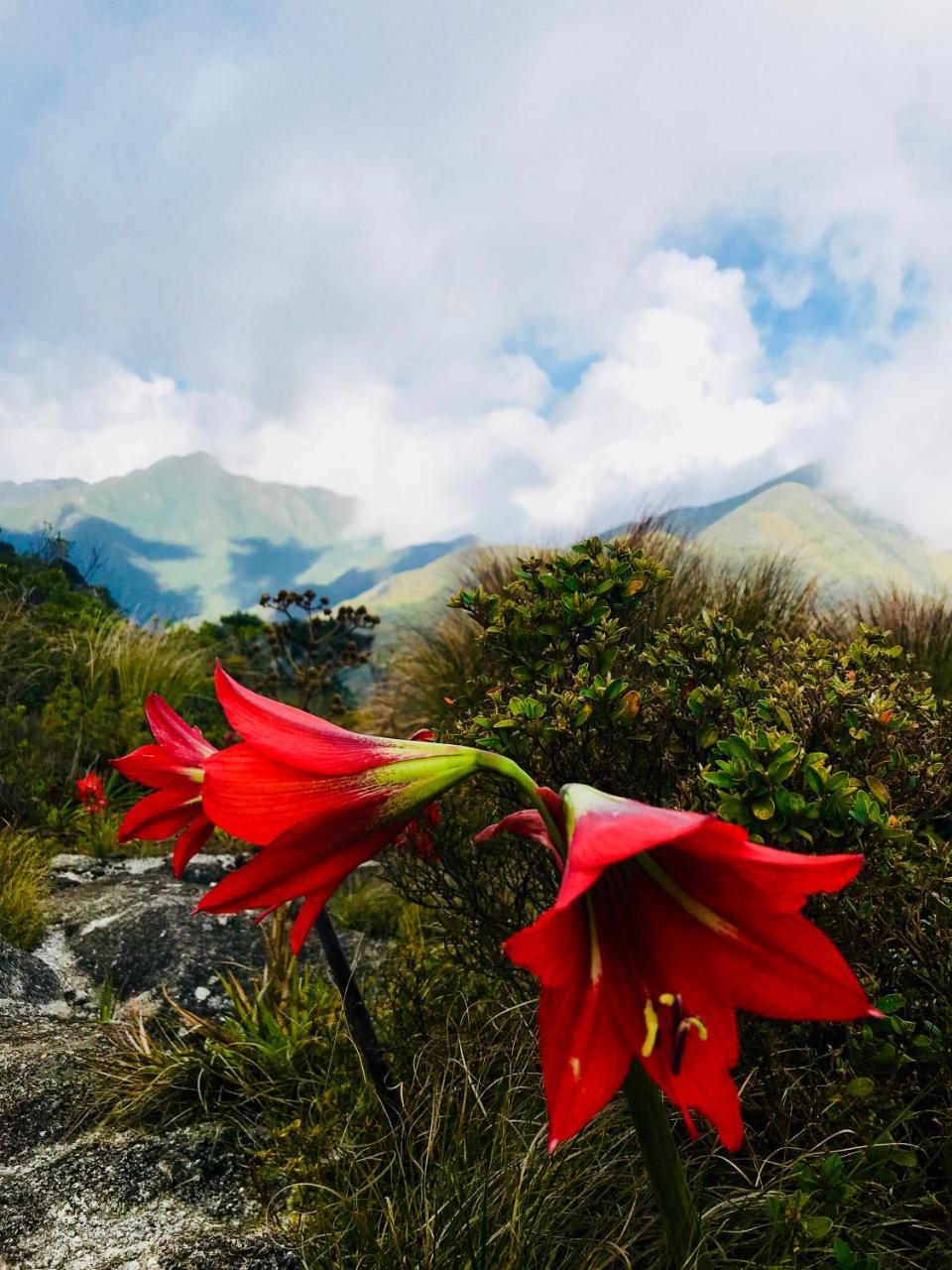 Refúgio Serra Fina Passa Quatro Exterior foto
